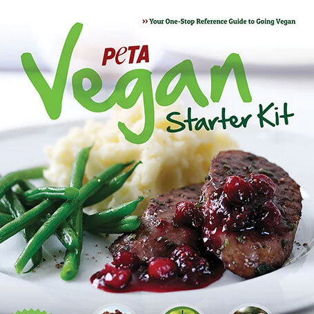 Vegan Starter Kit